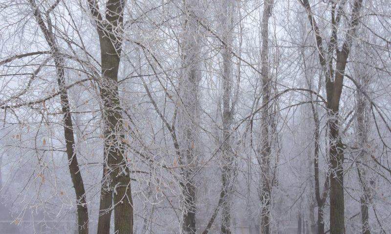 Правда зима. Г Шахты пасмурная.