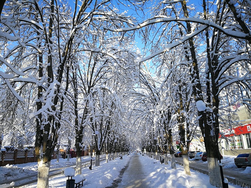 Погода в шахтах на 10