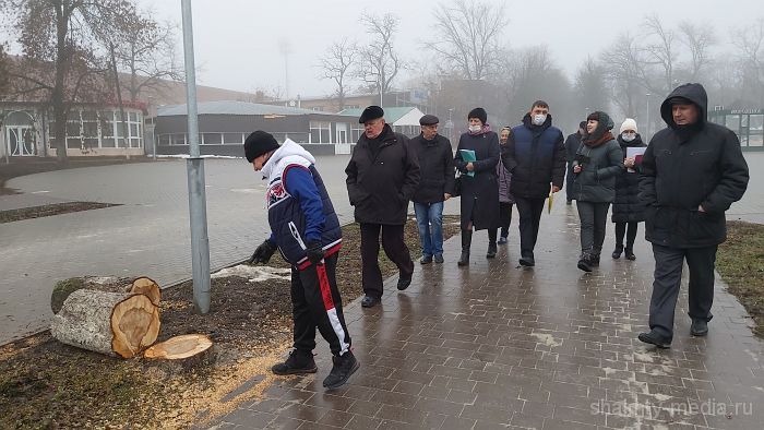 Около восьмисот. Комсомольский парк сквер Шахты. Шахты парк. Высаживают деревья в парке.