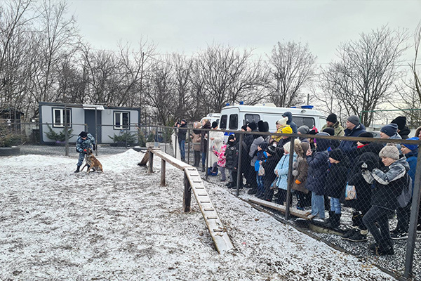 Воспалилась или опухла десна у ребенка